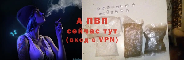 мяу мяу мука Лихославль