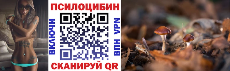 Галлюциногенные грибы Psilocybe  Купить где  Снежинск 